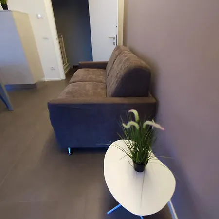 Up&down Seeview App ברדולינו